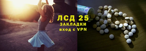 ECSTASY Алзамай