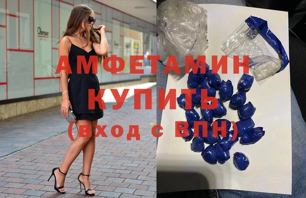 ECSTASY Алзамай