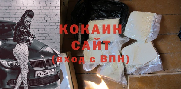 ECSTASY Алзамай
