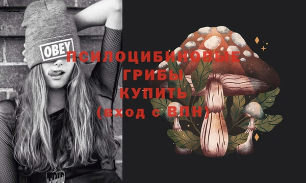 а пвп мука Алексеевка