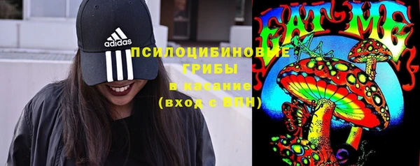 ECSTASY Алзамай
