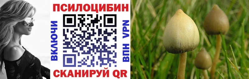 как найти наркотики  Лабинск  Псилоцибиновые грибы прущие грибы 